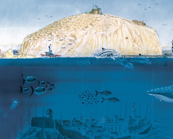 Historia Ilustrada de  Águilas - Imagen 3